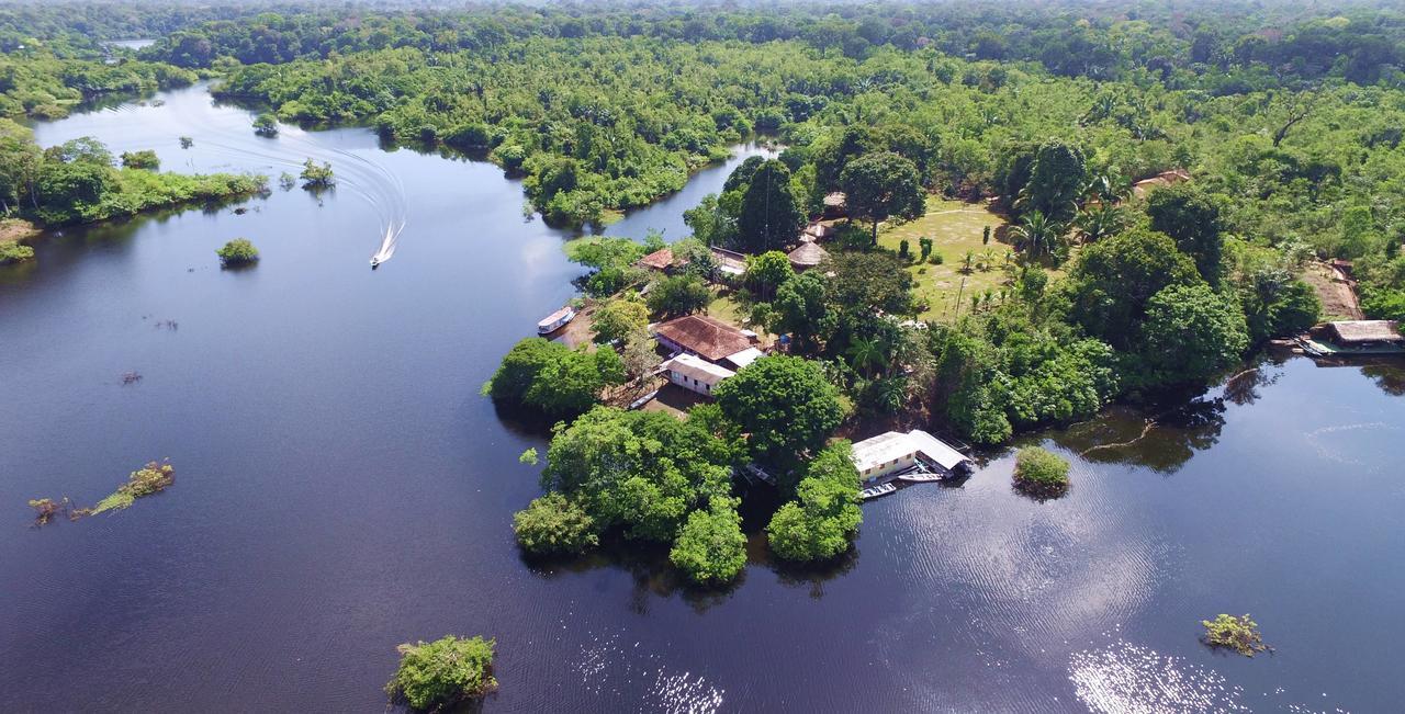 Amazon Turtle Lodge Careiro Eksteriør billede